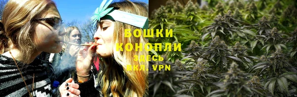 сатива Абаза