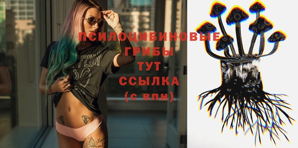 сатива Абаза