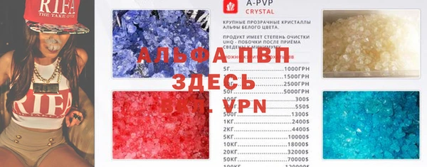 сатива Абаза